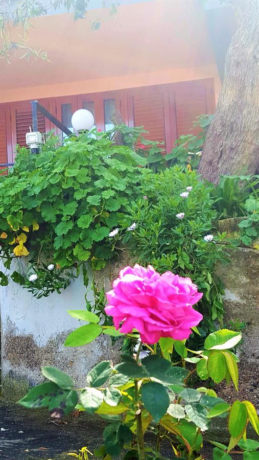 Delle Rose Acomodação com café da manhã Cefalù Exterior foto